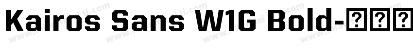 Kairos Sans W1G Bold字体转换